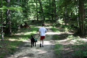 Walking on trail