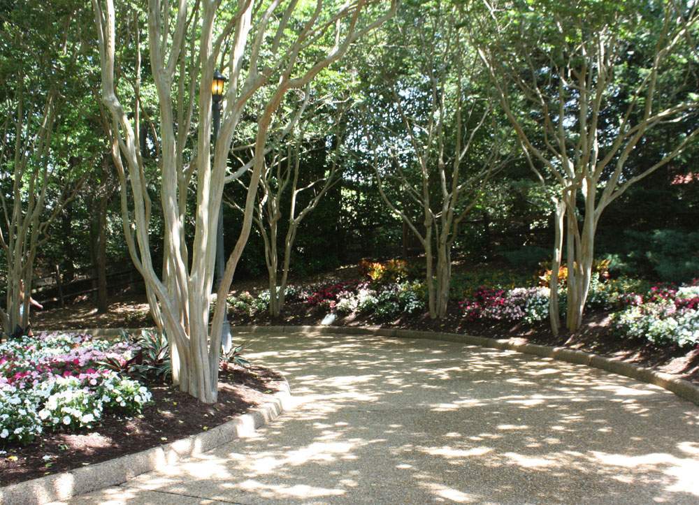 Landscaped Path at Busch Gardens Williamsburg