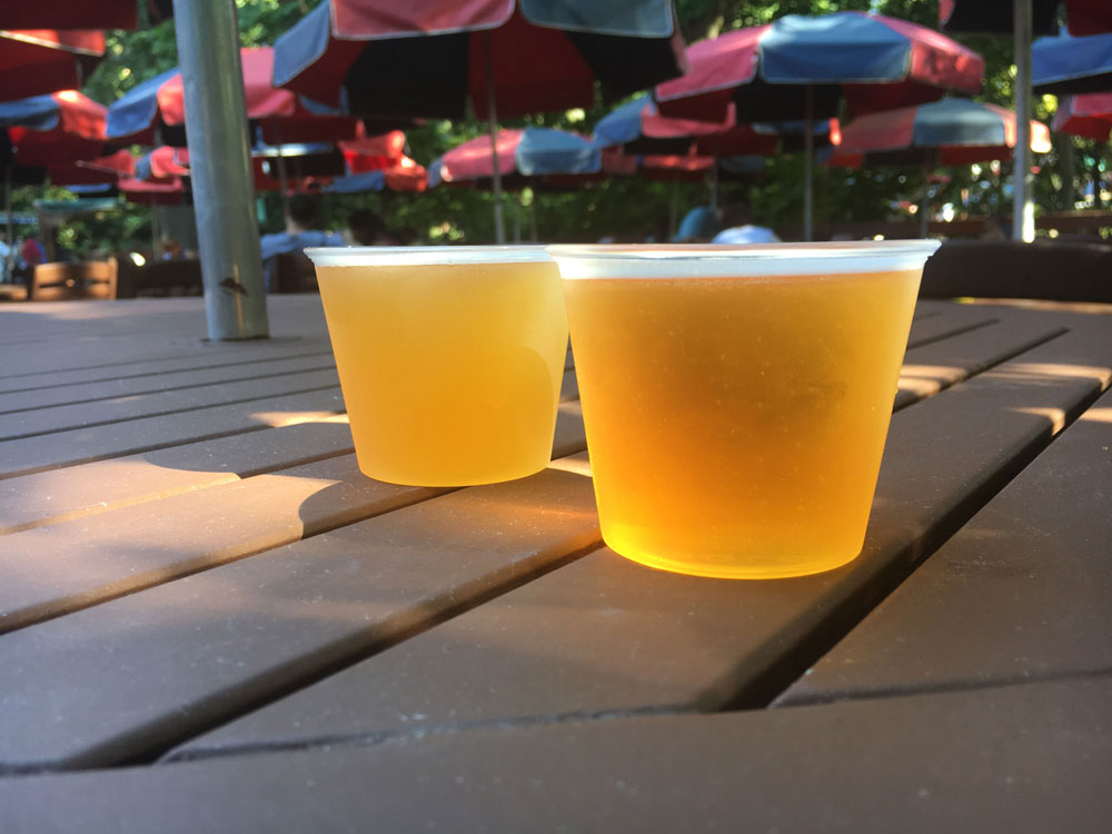 Beer Samples at Bier Fest Busch Gardens Williamsburg