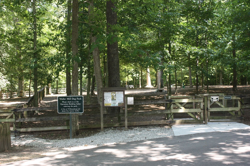 Large Dog Park at Waller Mill Park