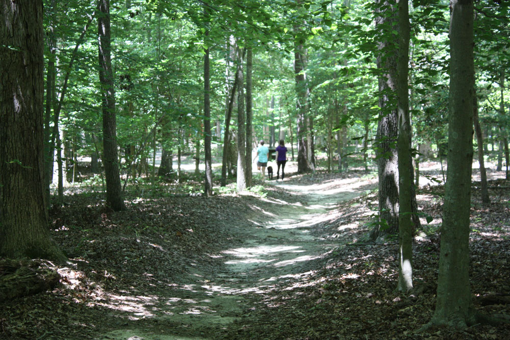 Waller Mill Park Hiking Trail Williamsburg VA Attraction