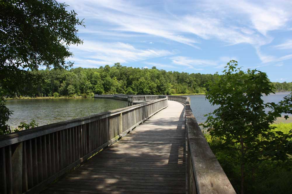 https://traveltrailsail.com/wp-content/uploads/2019/07/newport-news-park-bridge.jpg