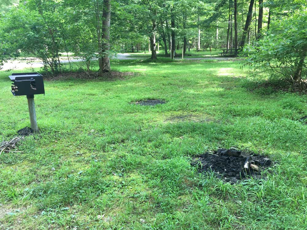 Campfires With No Campfire Rings on Campsite at Newport News Park Campground
