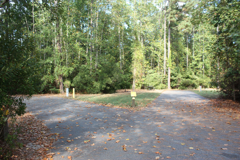 Chippokes State Park Campground B Loop Buddy Back In Site