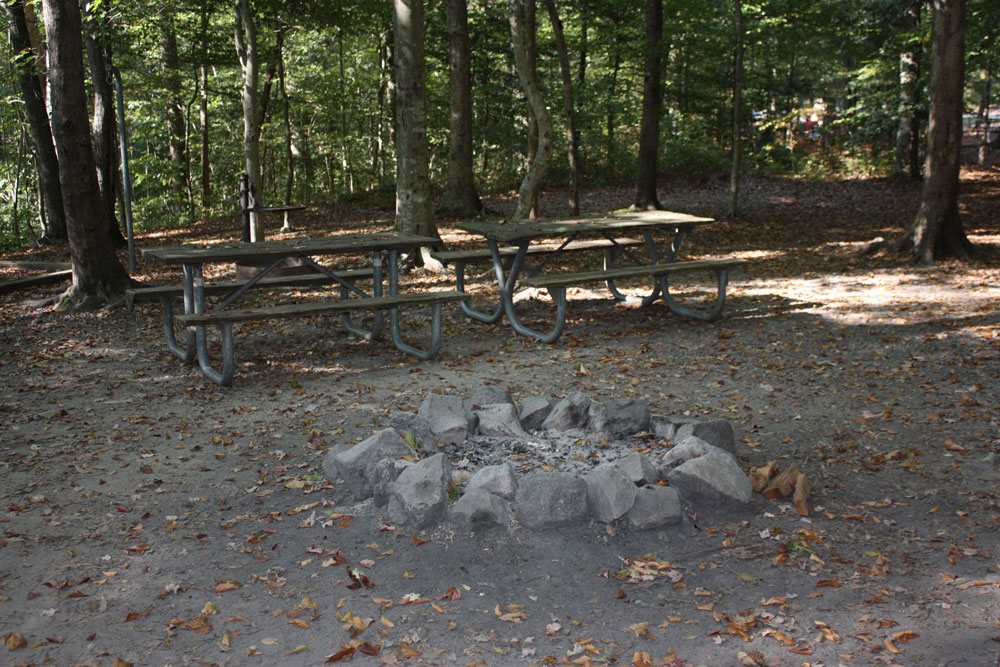 Chippokes State Park Campground Group Fire Ring