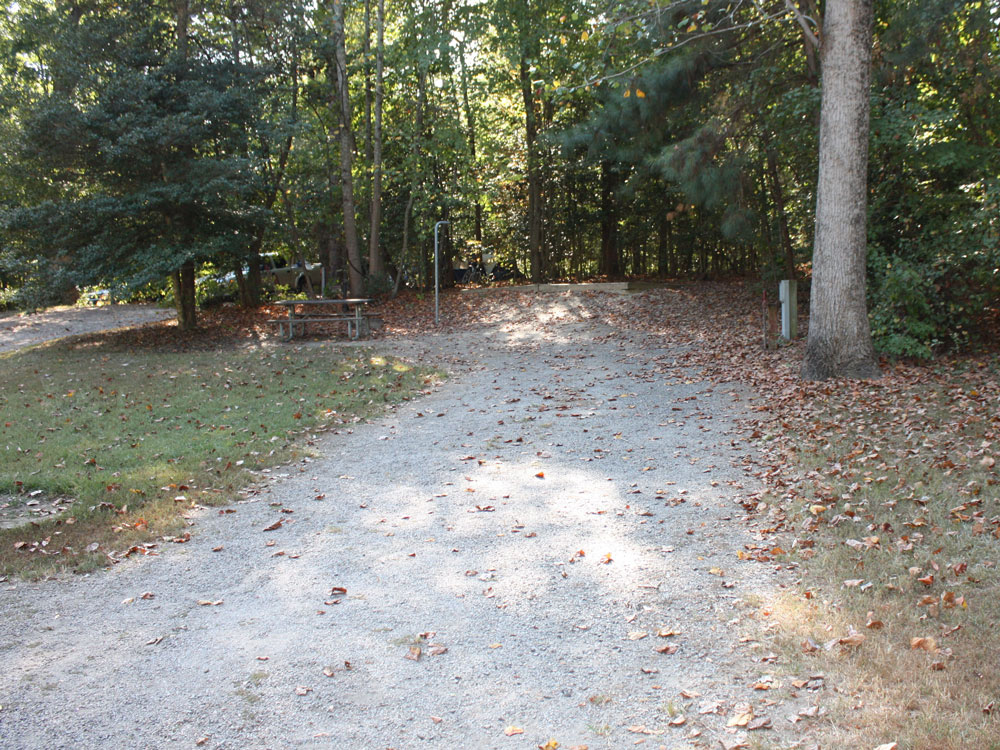 Chippokes State Park Campground A Loop Back In Site