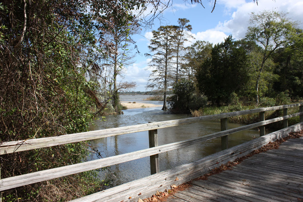 Chippokes State Park College Run Trail River View