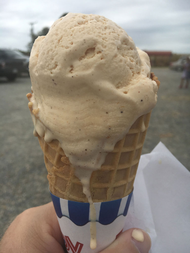 College Run Farm Surry County VA Ice Cream