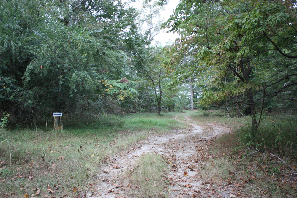 Smith Fort Plantation Trail