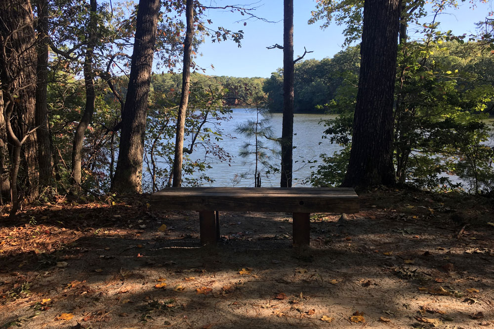 Bench With View of Lake Noland Trail Newport News VA
