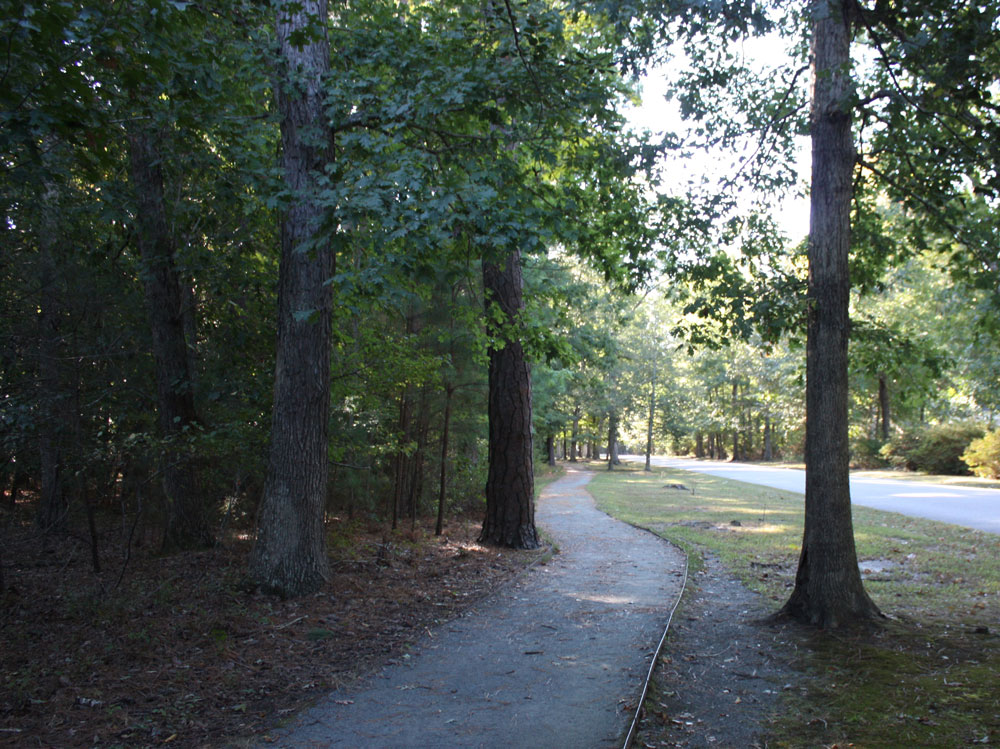 Noland Trail Meadow Path