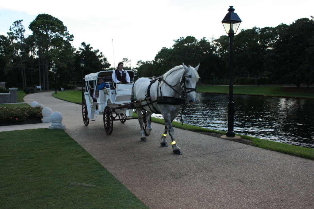 Disney Port Orleans Riverside Horse Drawn Carriage Ride