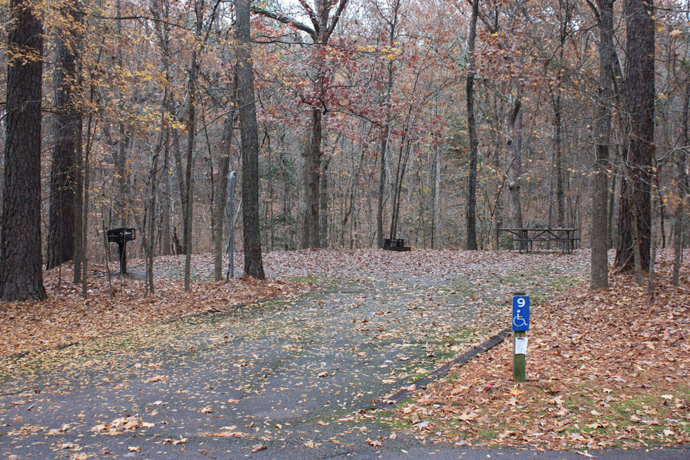 Falls Lake Rolling View Accessible Campsite