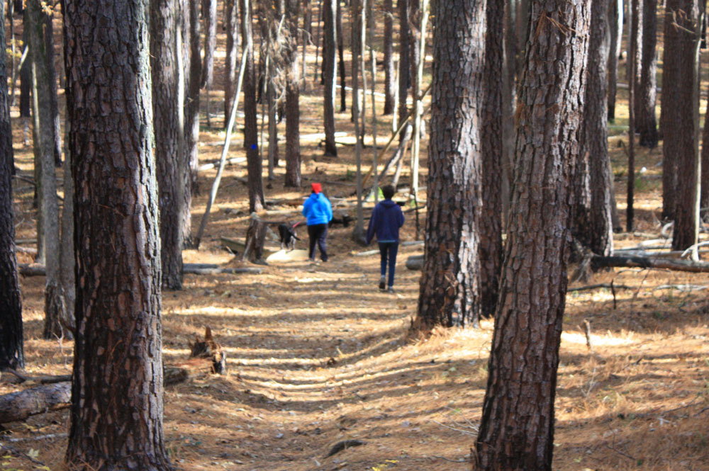 Falls Lake Rolling View Campground Hiking Trail