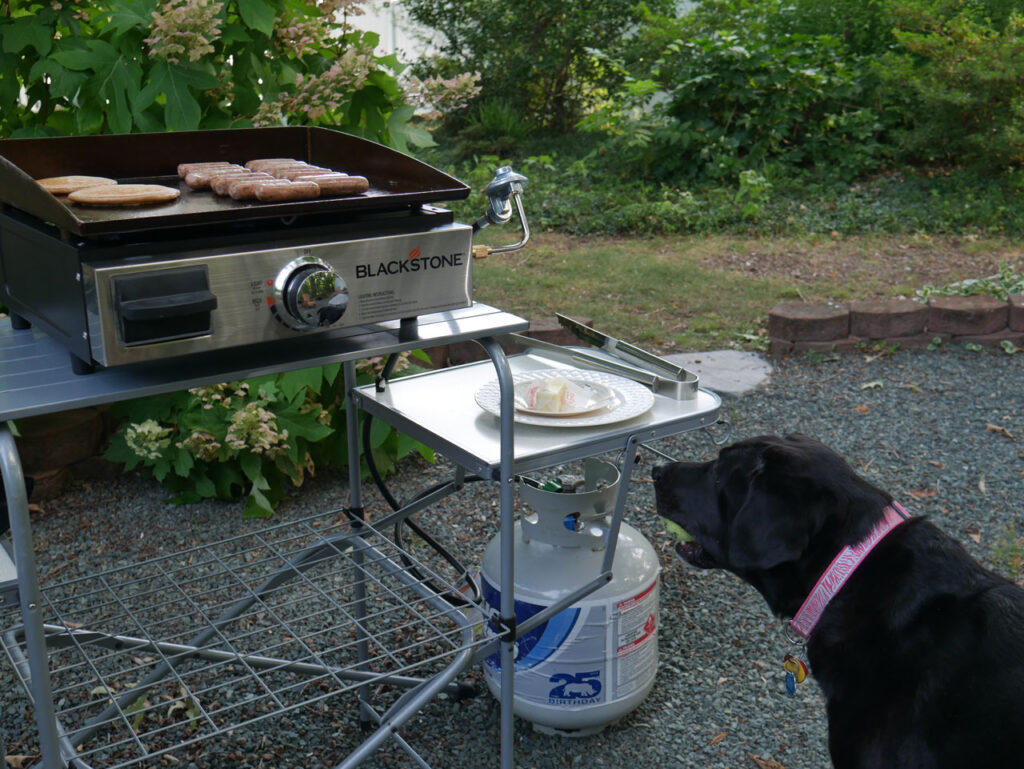 Blackstone Tabletop Griddle & Reviews