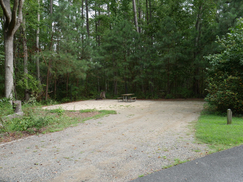 Belle Isle State Park Campground Back In Site