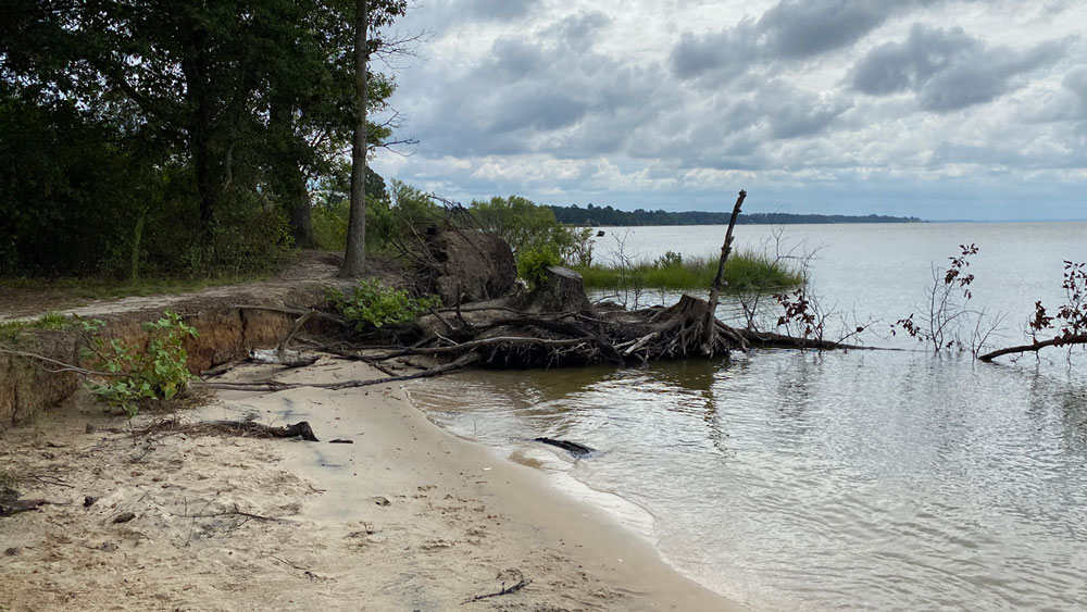 Access to the Beach at Belle Isle State Park