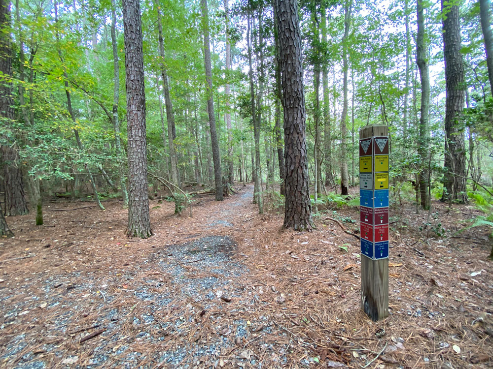 Hiking Mud Creek Trail at Belle Isle State Park