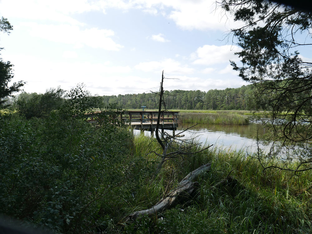 Outlook on Mulberry Creek Boardwalk at Belle Isle State Park