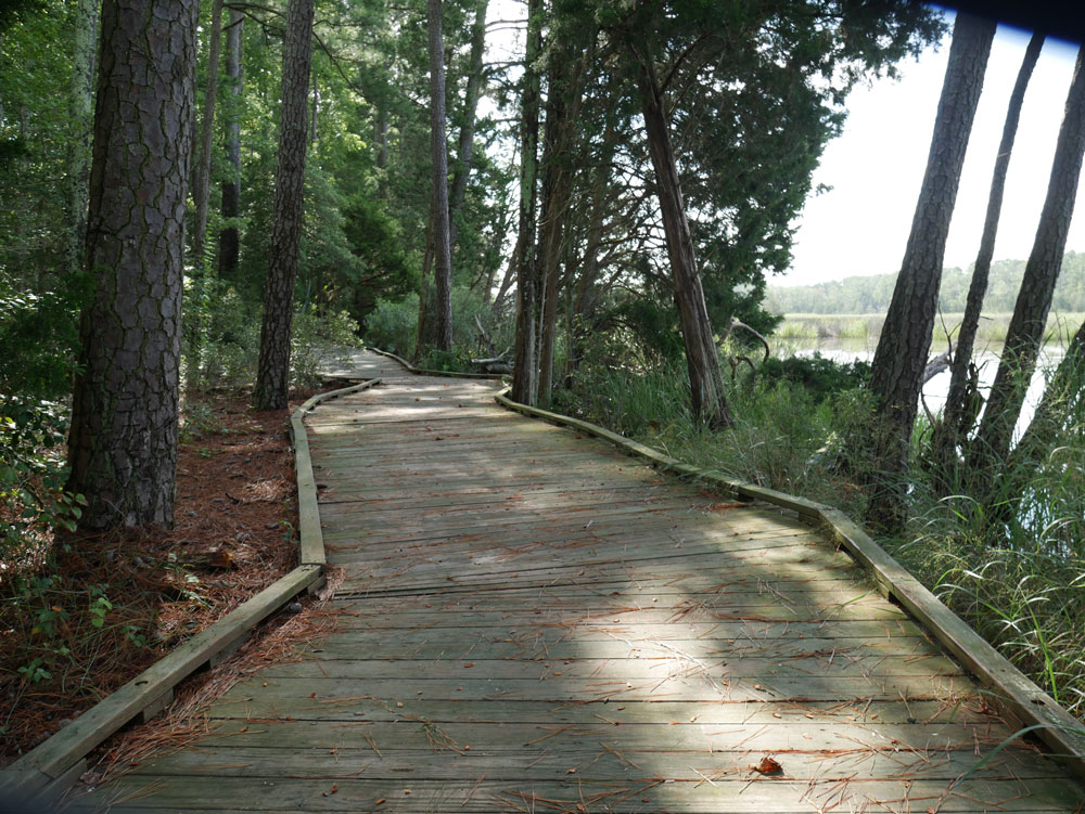 Mulberry Creek Boardwalk at Belle Isle State Park