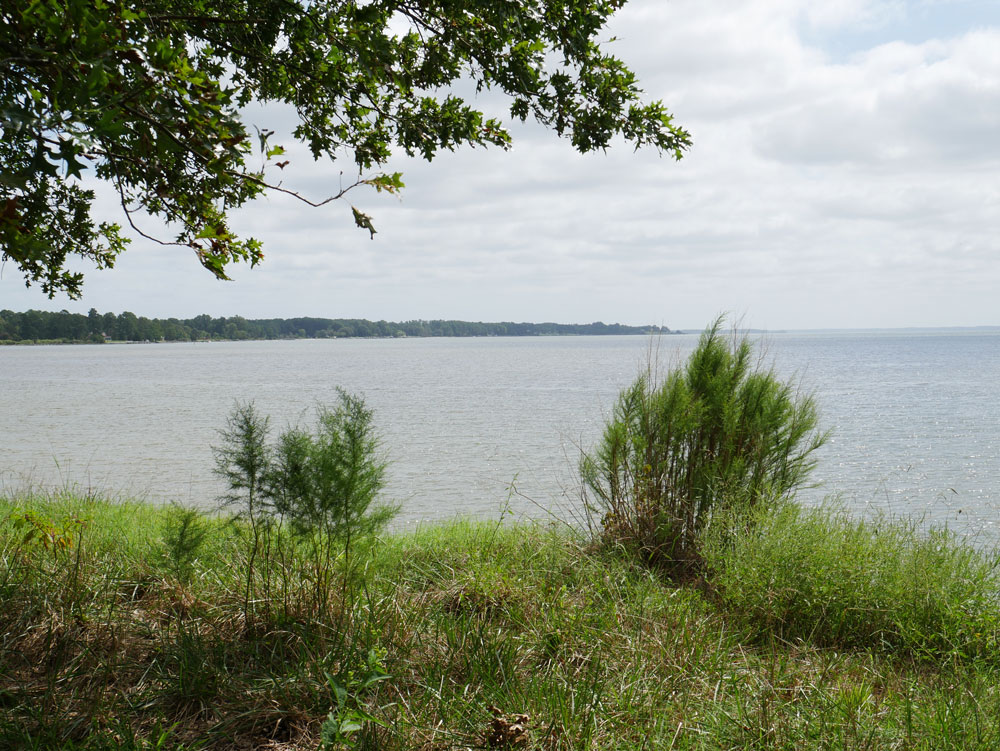 View of the Rappahannock River From the Belle Isle Picnic Area
