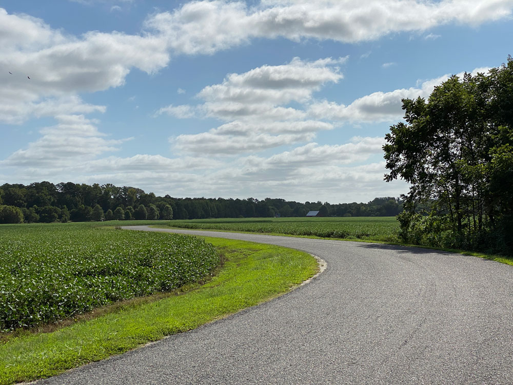Road With Crops at Belle Isle State Park