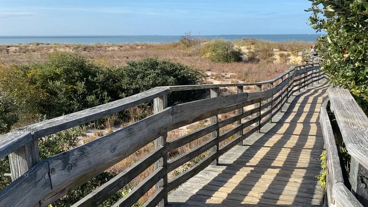First Landing State Park Beach Access Boardwalk