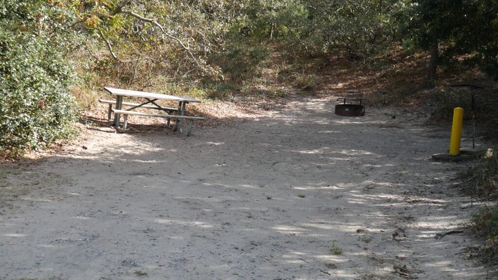First Landing State Park Campsite Example