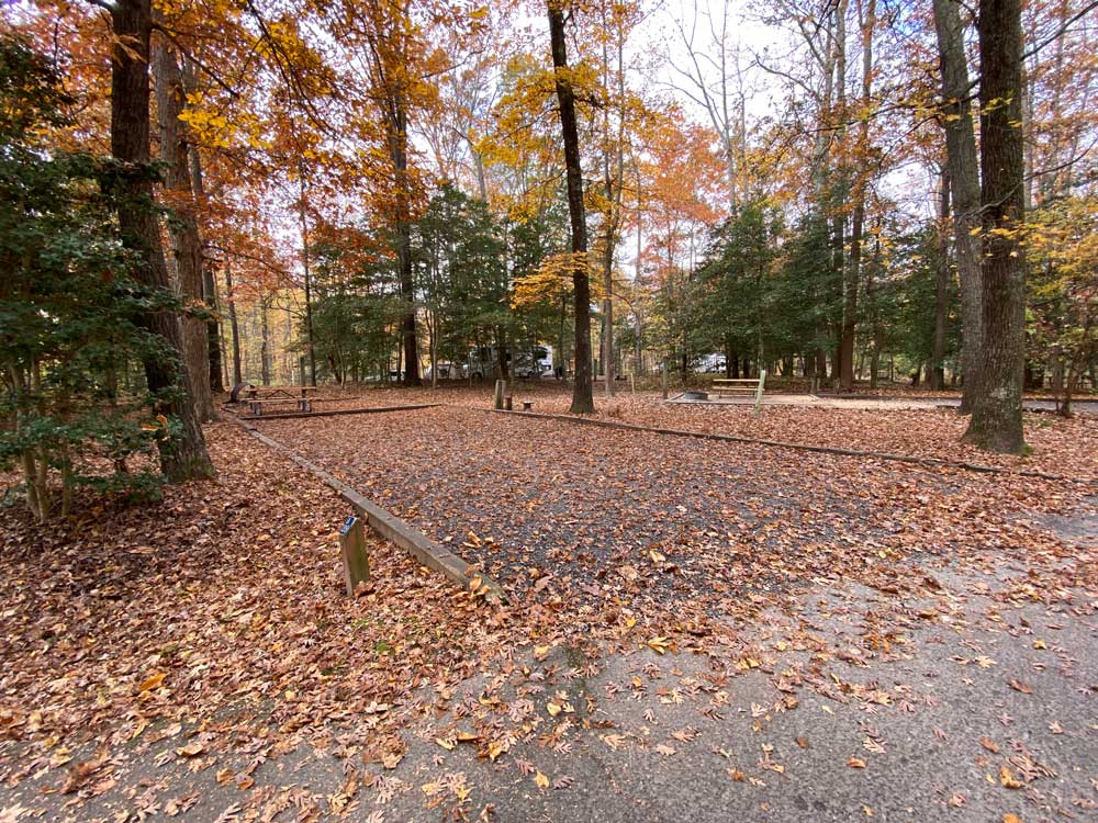 Westmoreland State Park Campground Loop A Back In Site