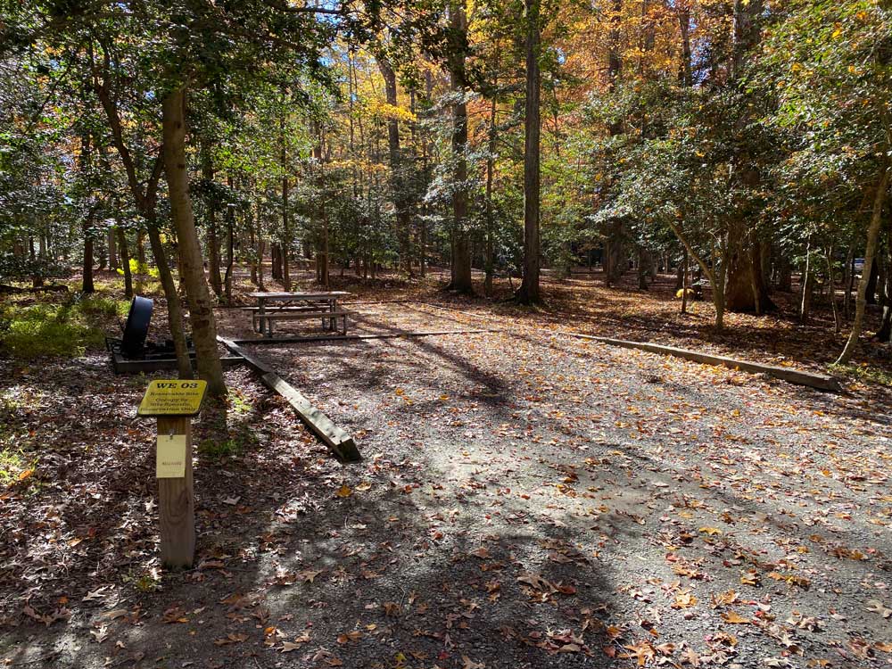 Westmoreland State Park Campground Loop B Back In Site