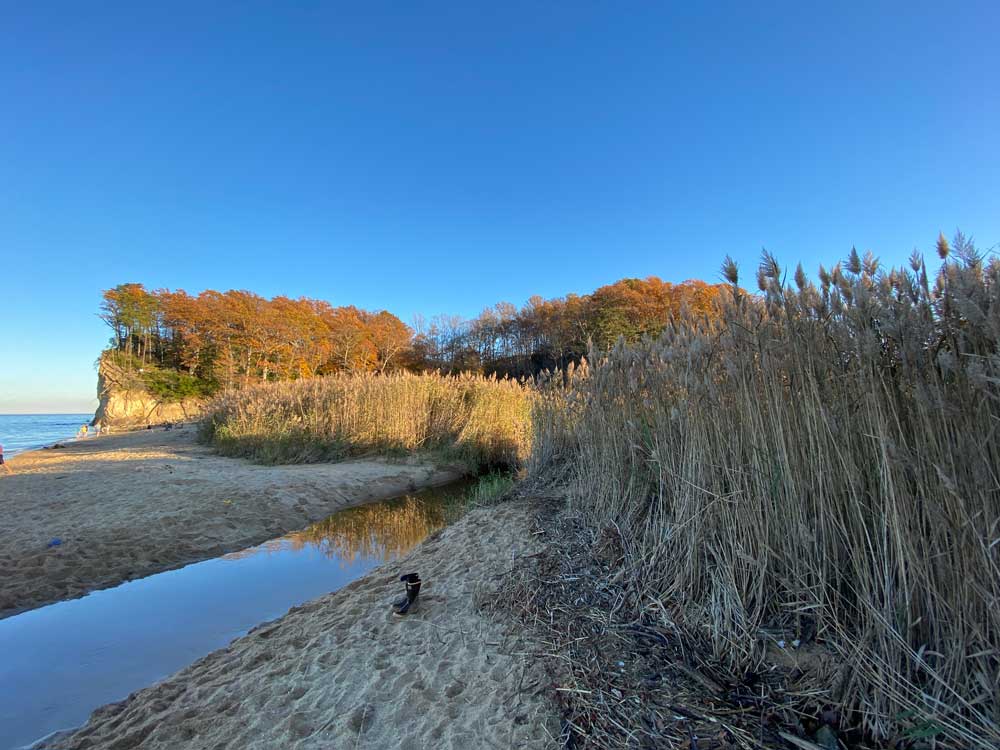 Westmoreland State Park Fossil Beach