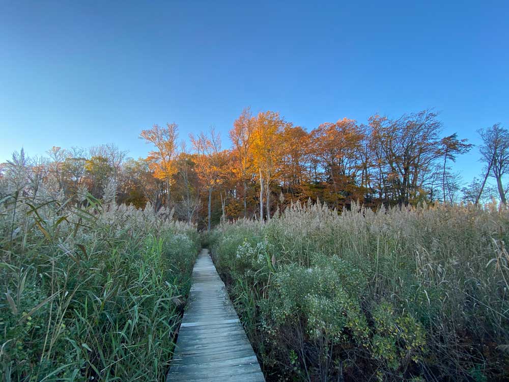 Westmoreland State Park Hiking Trail