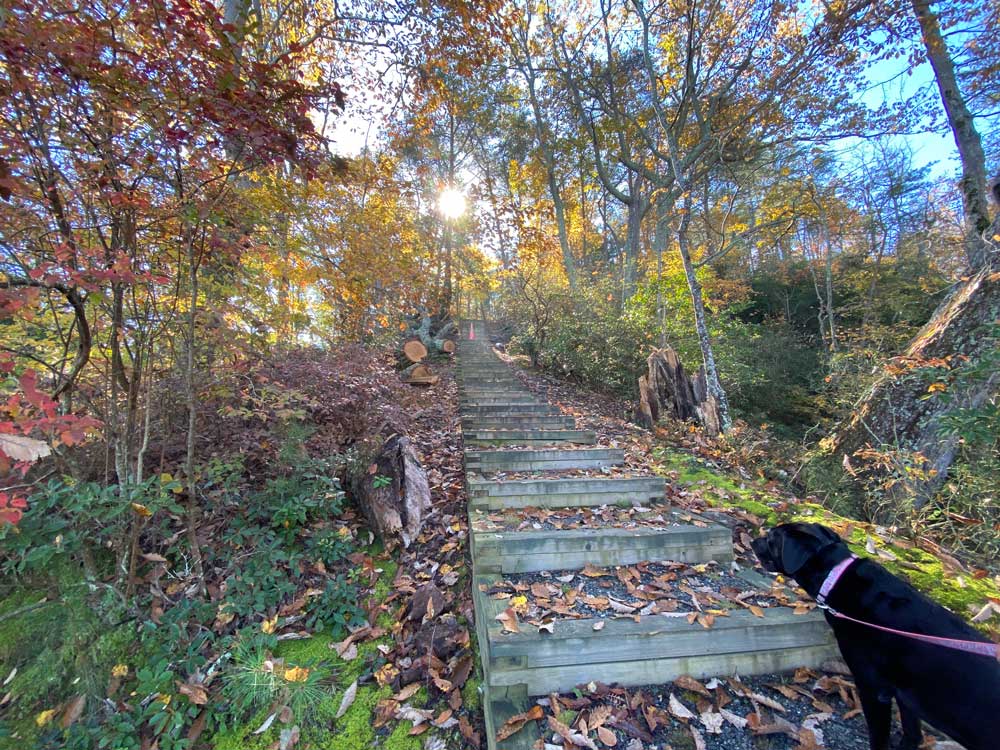 Westmoreland State Park Hiking Trail Stairs
