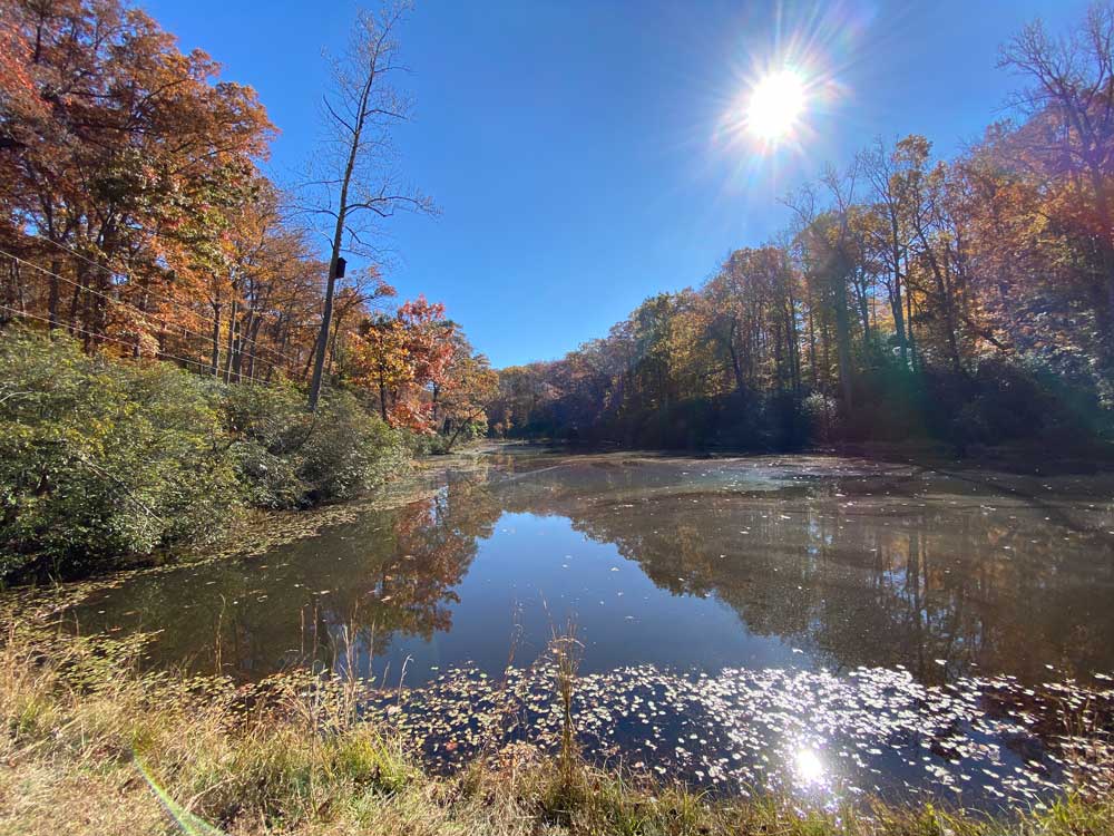 Westmoreland State Park Hiking Trail Rock Spring Pond