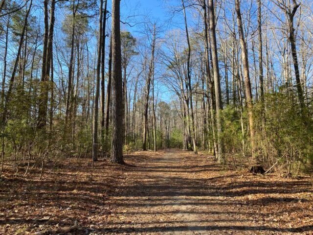 York River State Park Review - Travel Trail Sail