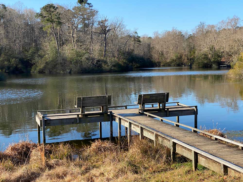 Dock on Fishing Pond at York River State Park