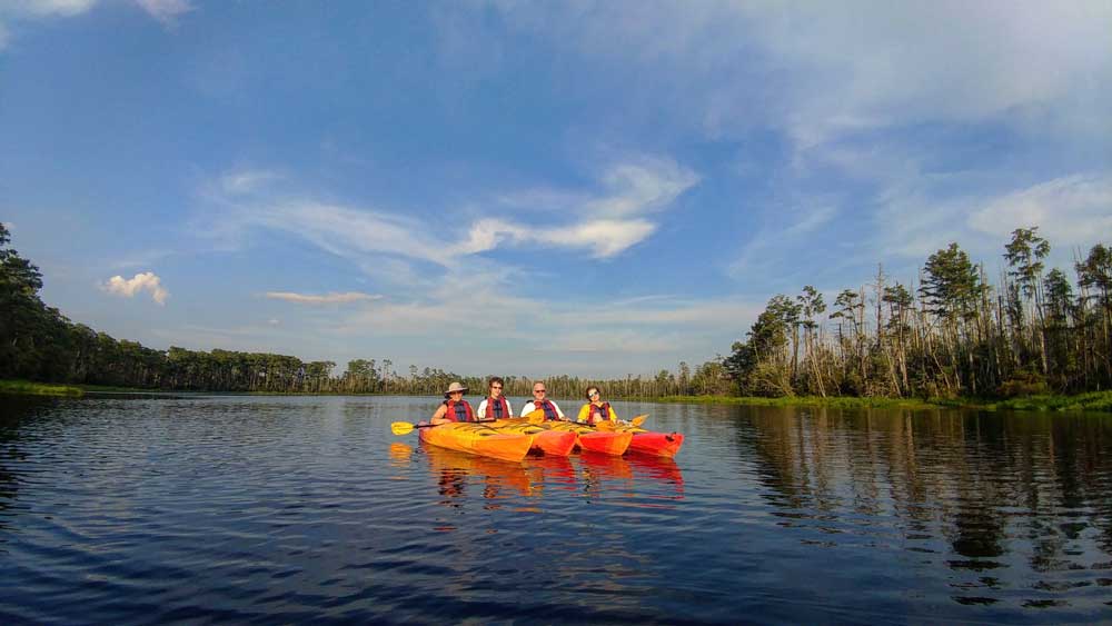 Alligator River Kayak Tour in the Outer Banks of North Carolina OBX