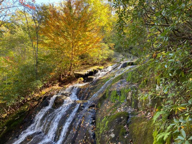 Devils Backbone Campground Review - Travel Trail Sail