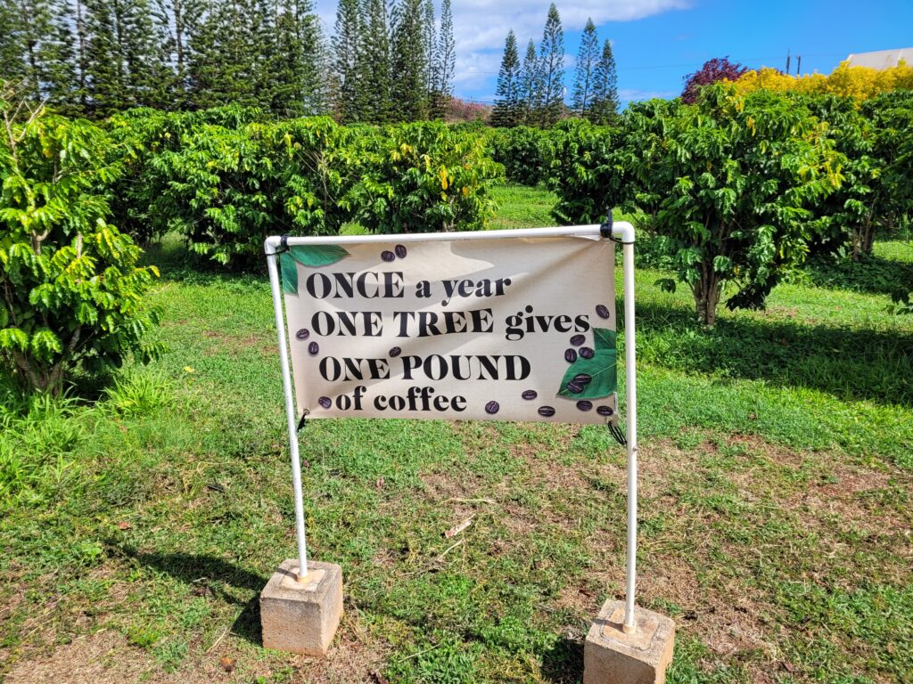 interpretive sign at Kauai coffee tour