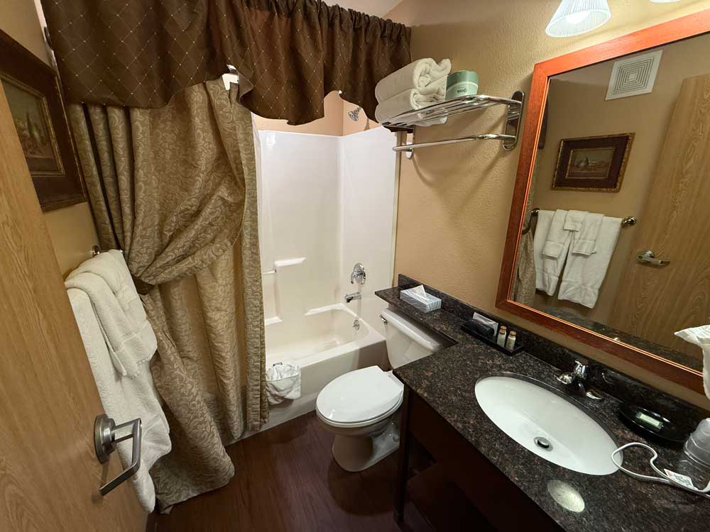 Bathroom with decorative shower curtain at Pike's Waterfront Lodge Fairbanks Alaska