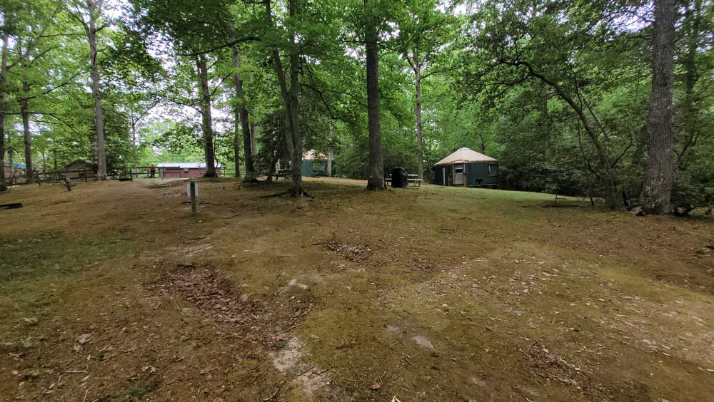 Jellystone Williamsburg group tent area with a yurt in the distance