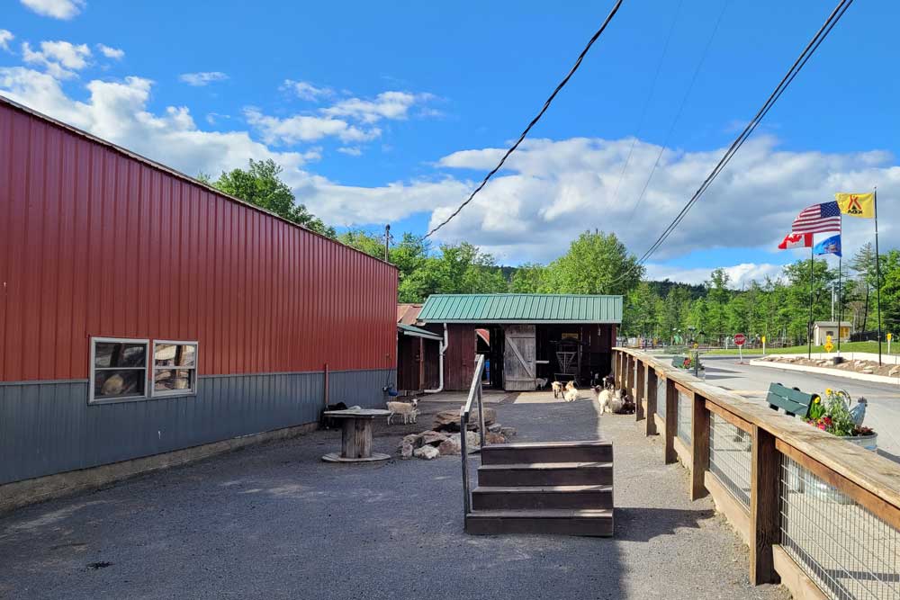 Barn and goats at KOA Williamsport